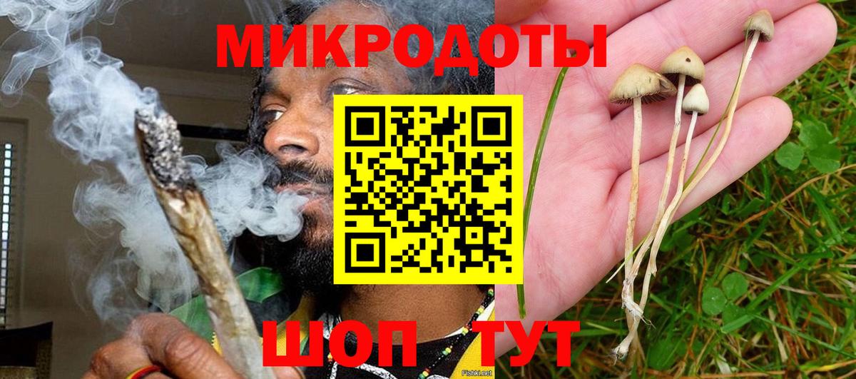 хочу   Псилоцибиновые грибы ЛСД  Вход с VPN  Псилоцибиновые грибы MAGIC MUSHROOMS  Зерноград 