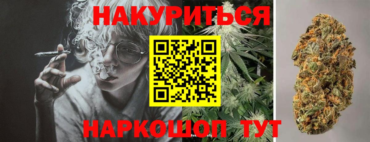 Бошки марихуана планчик  Вход с VPN  Зерноград  Бошки Шишки планчик  Марихуана планчик 